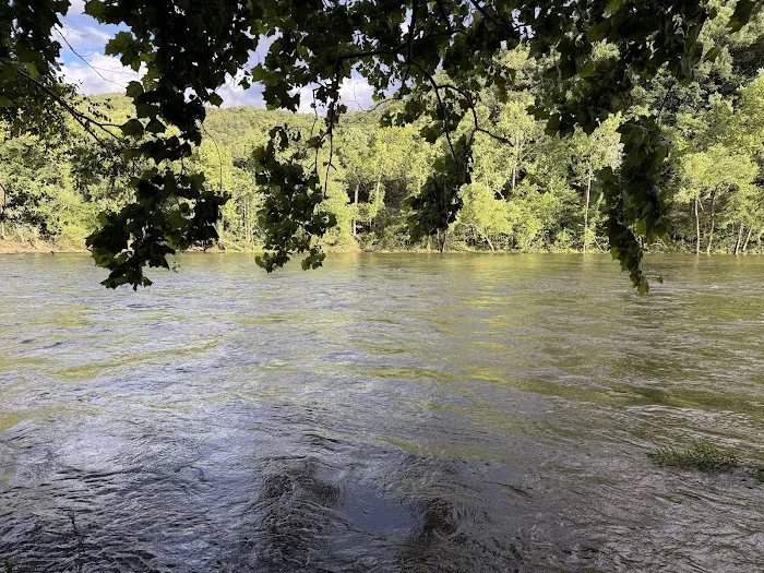 Back Run Paddle In Camp 6