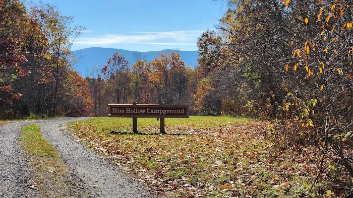 Blue Hollow Campground 1