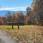 Blue Hollow Campground