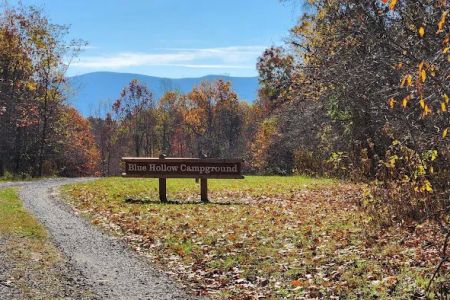 Blue Hollow Campground