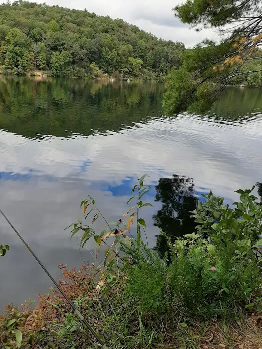 Morris Hill Campground 6