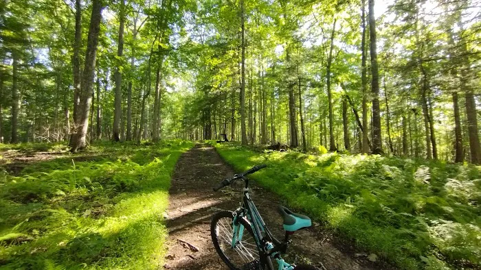 Morris Hill Campground 8