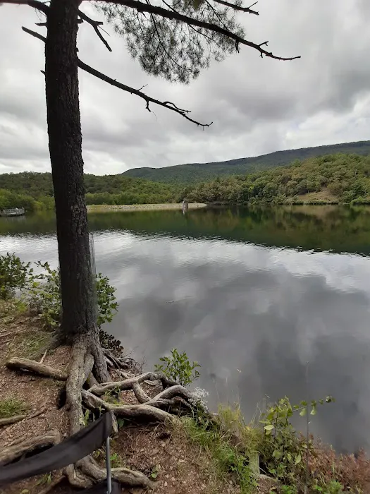 Morris Hill Campground 4