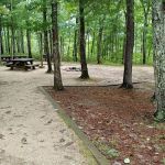 Morris's Hill Group Campground #2