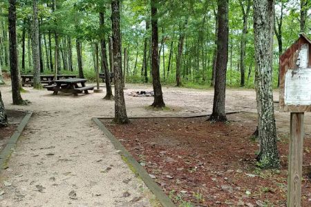 Morris's Hill Group Campground #2