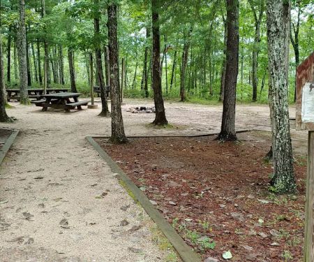 Morris's Hill Group Campground #2