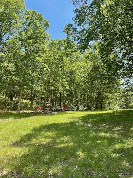 Greenwood Point Campground 4