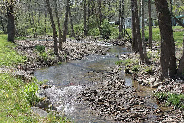 Gheny Nook Campground 4