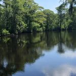 Tranter's Creek Resort