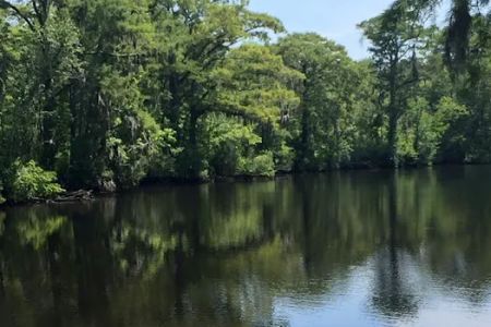 Tranter's Creek Resort