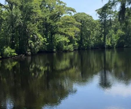 Tranter's Creek Resort