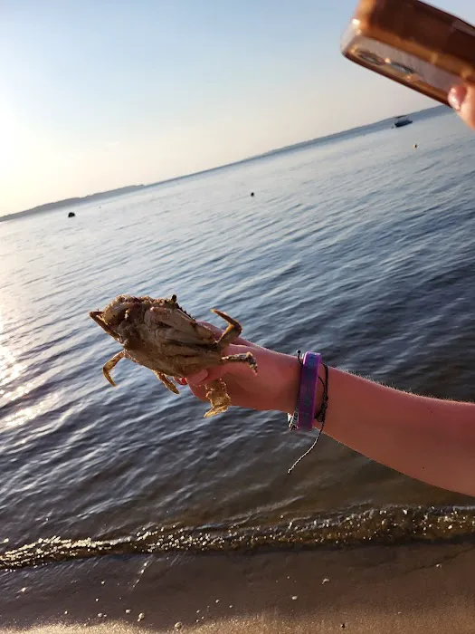 Pamlico Sea Base | BSA 9