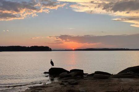 Kerr Lake, County Line Camping
