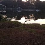 Americamps Lake Gaston