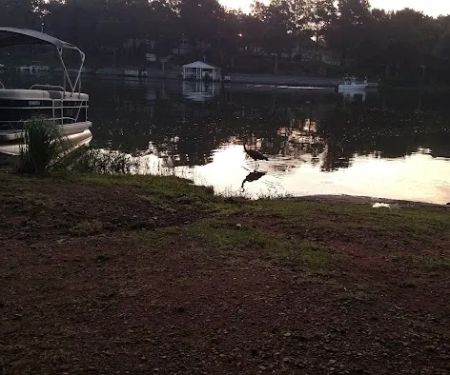 Americamps Lake Gaston