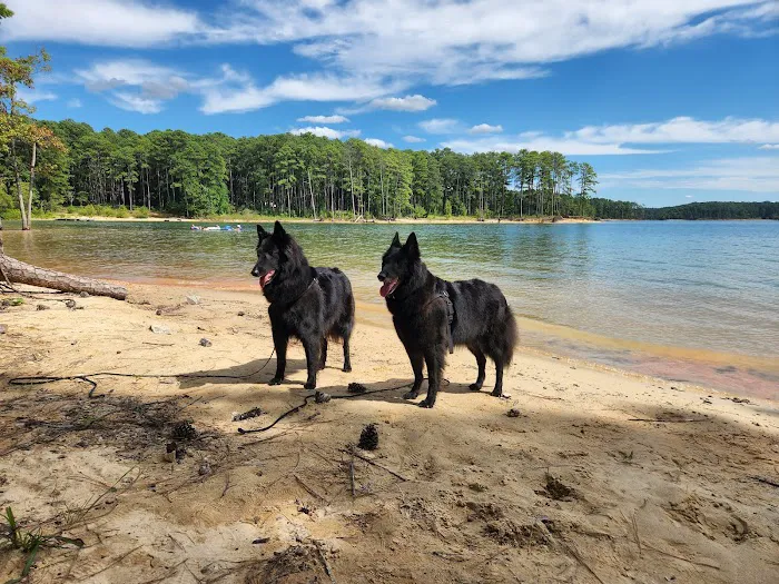 Kimball Point Campground 8
