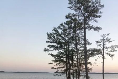 Camping Area A