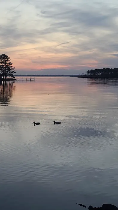 Dixon Landing RV Resort 8