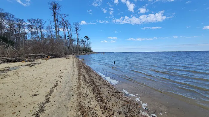 Neuse River Recreation Area 2