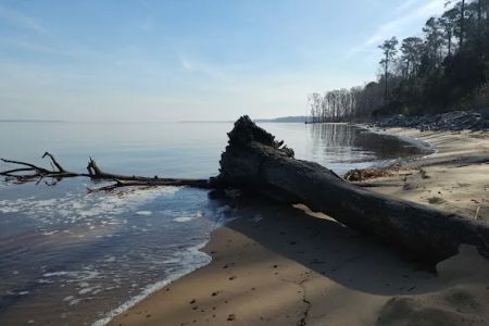 Neuse River Recreation Area