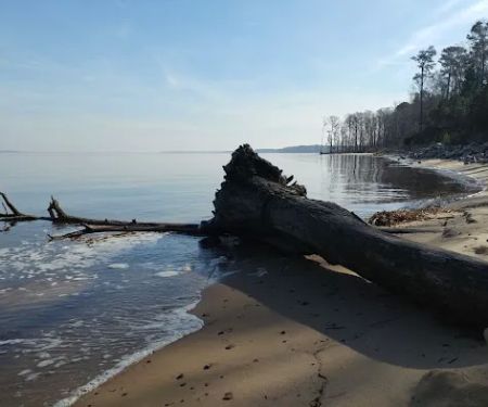 Neuse River Recreation Area