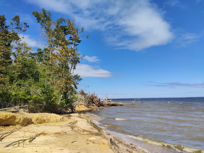 Neuse River Recreation Area 7