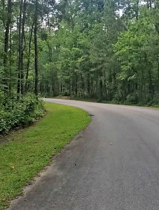 Neuse River Recreation Area 6