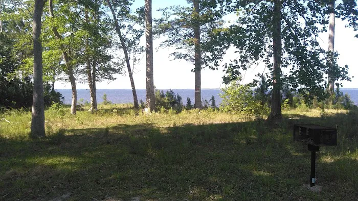 Neuse River Recreation Area 9