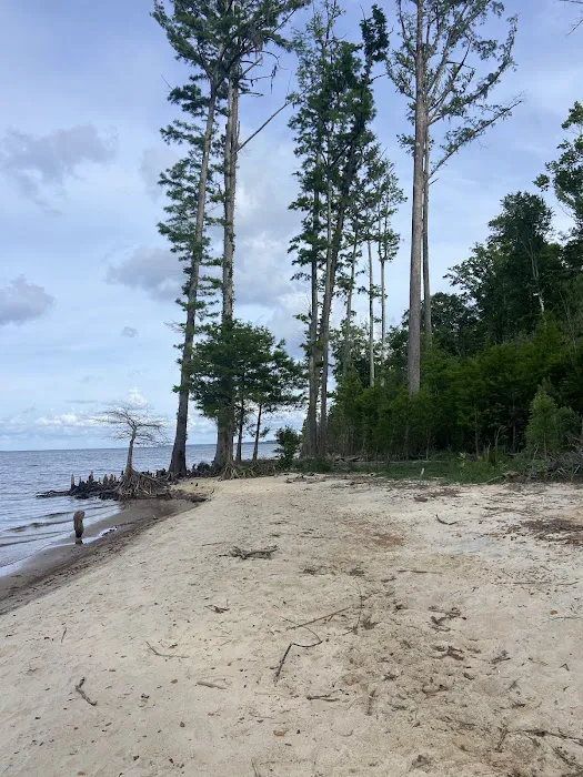 Flanners Beach Campground 2