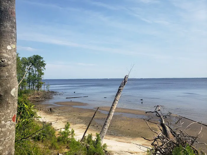 Flanners Beach Campground 1