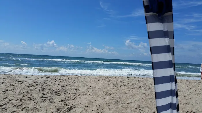 Camp Ocean Forest 7