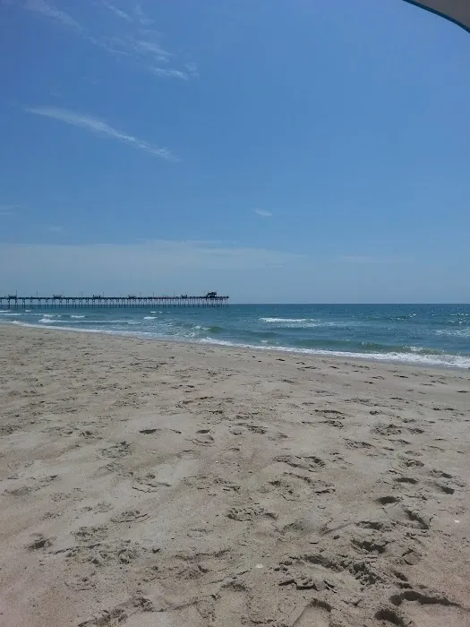 Camp Ocean Forest 9