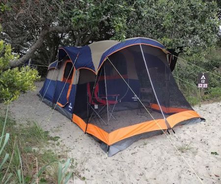 Bear Island Forest Camp