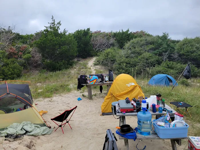 Bear Island Forest Camp 3