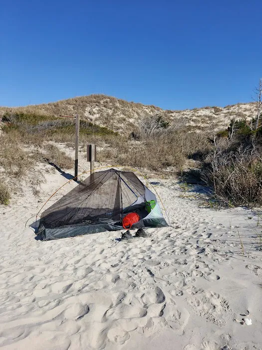 Bear Island Forest Camp 6