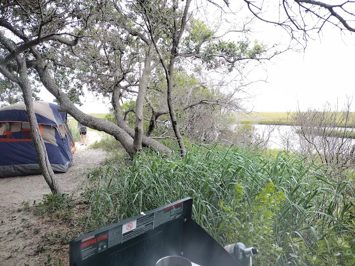 Bear Island Forest Camp 4