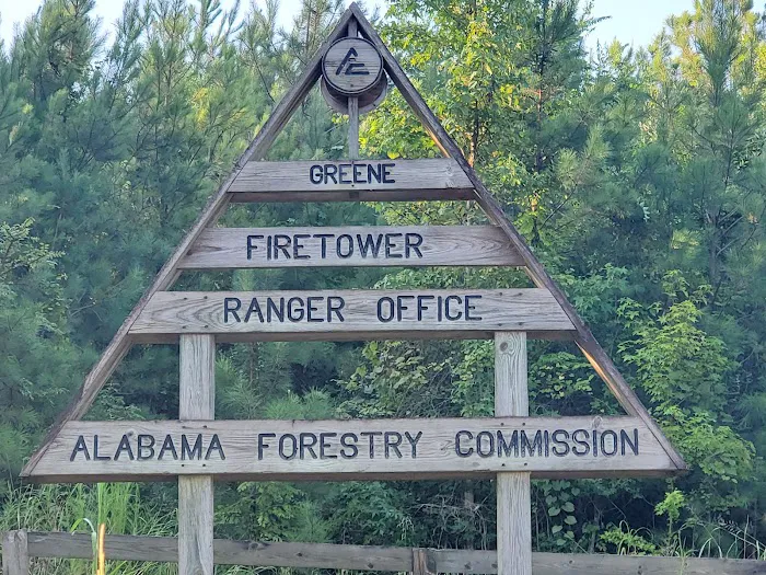 Forestry Commission 1