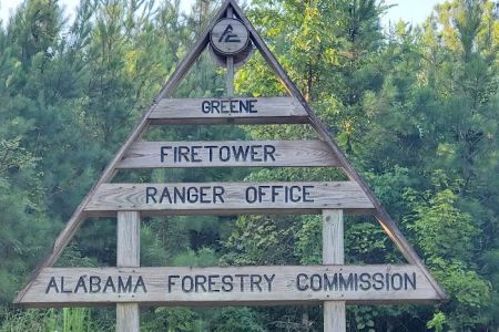 Forestry Commission