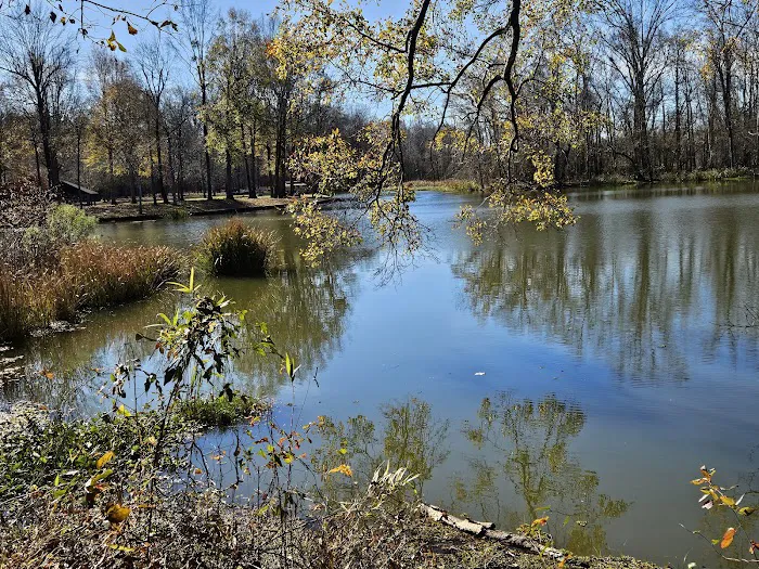 Jennings Ferry Park Campground 3