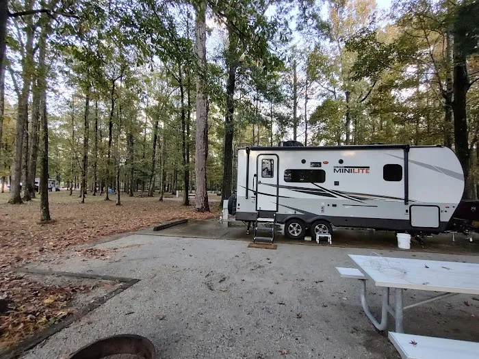 Jennings Ferry Park Campground 5