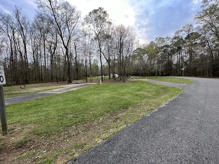 Jennings Ferry Park Campground 10