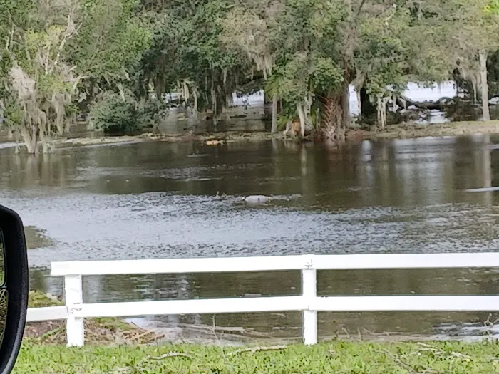 Little Manatee Springs 3