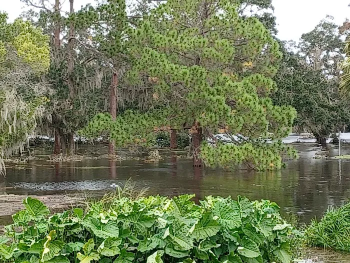 Little Manatee Springs 9