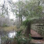 KICCO - Rattlesnake Hammock Campsite