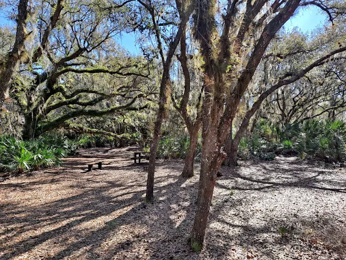 KICCO - Rattlesnake Hammock Campsite 5