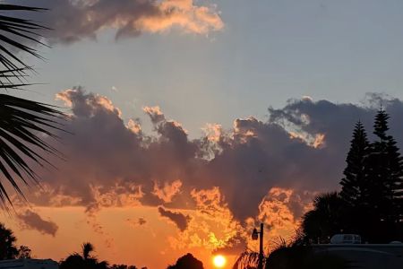 Breezy Palms RV Park