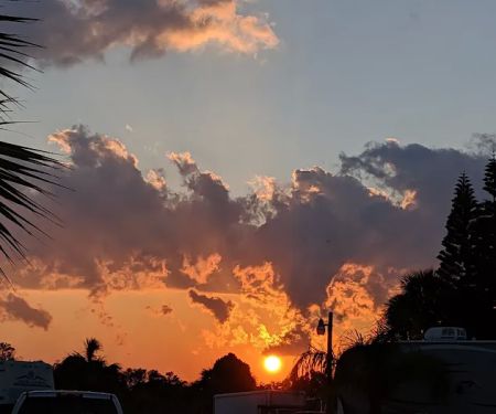 Breezy Palms RV Park