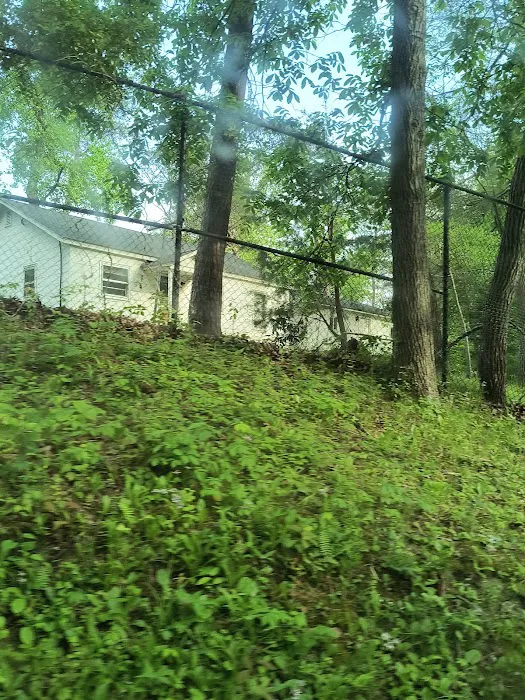 Camp Brookside 8
