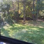 lick creek rv park