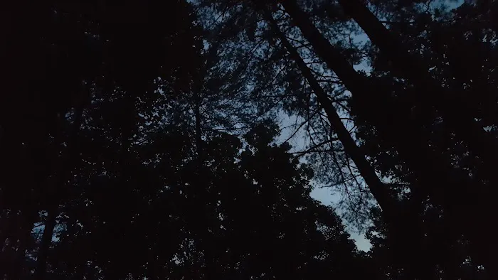 Paradise Campground 4